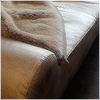 Plants: image 2 0f 20 thumb