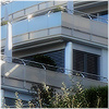 Plants: image 12 0f 20 thumb