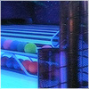 Plants: image 3 0f 20 thumb