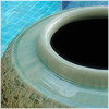 Plants: image 1 0f 20 thumb