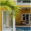 Plants: image 2 0f 20 thumb