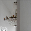 Plants: image 9 0f 20 thumb
